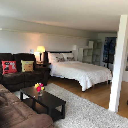 One Bedroom Suite Near Hillside Mall-2