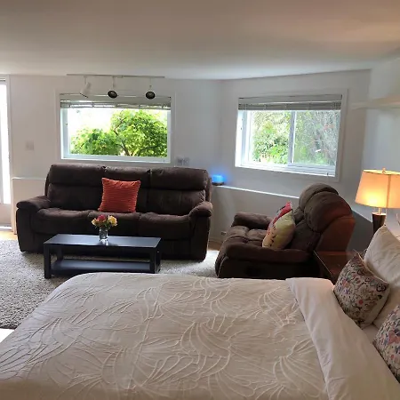 One Bedroom Suite Near Hillside Mall-3